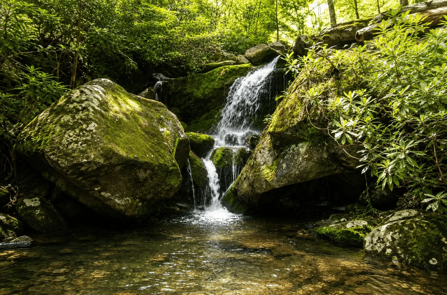 Natural lake & waterfall