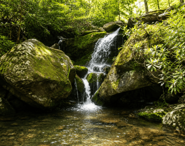 Natural Lake & Waterfall